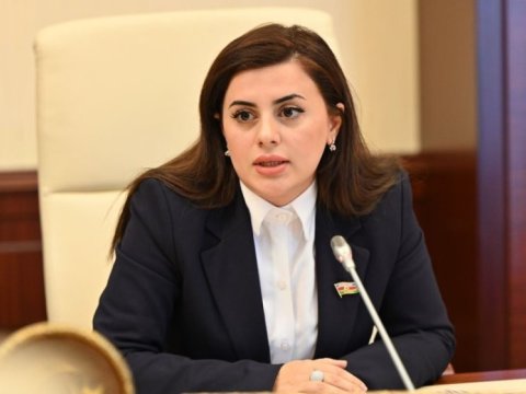 Uşaqların elmi tədqiqatlara cəlbi qanunla tənzimlənməlidir