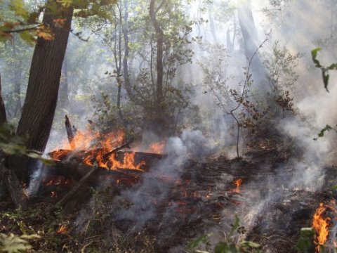 Yanğınların artmasının səbəbi nədir? - AÇIQLAMA
