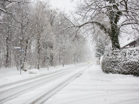 Qar yağacaq, duman olacaq - SABAHIN HAVASI
