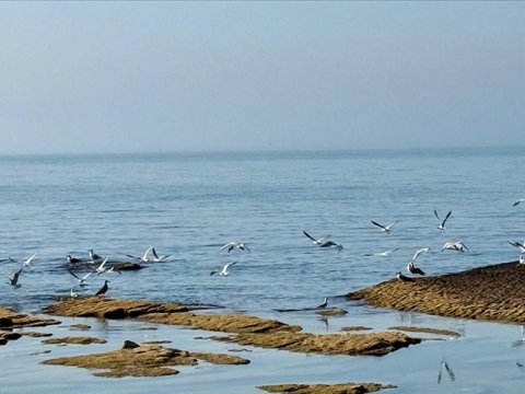 Xəzər dənizinə pul ayrıldı