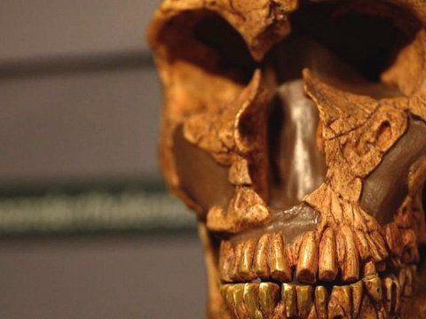 انسانی که 80 هزار سال پیش در آذربایجان زندگی می‌کرده، بقایایش کشف شد