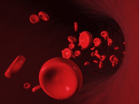 Azərbaycanda neçə talassemiya xəstəsi var? - RƏSMİ CAVAB