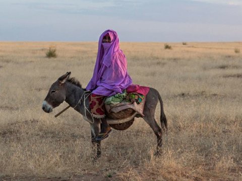Dünyada 1 milyarddan çox insan öz evlərindən məhrum olmaqdan ehtiyatlanır