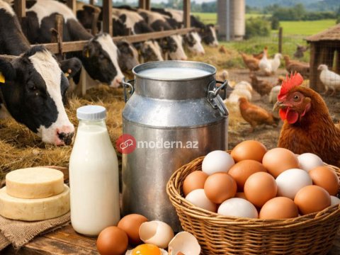 Subsidiya var, məhsuldarlıq yox: İdxaldan asılılıq artır