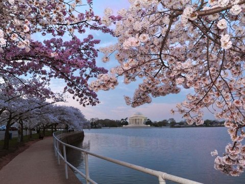 Martın aylıq hava proqnozu - Temperatur 28 dərəcəyədək artacaq