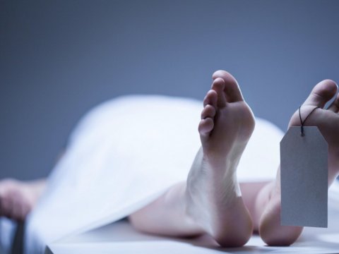 Bakıda mənzildə meyit tapıldı