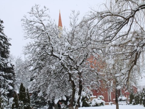 Güclü qar Qubanı işıqsız qoydu