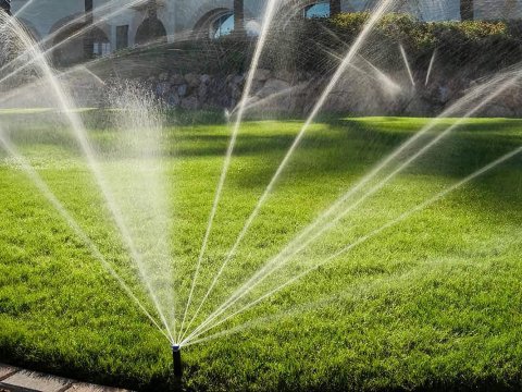 Bakıda parklar yeni üsulla suvarılacaq - böyük məbləğ ayrıldı