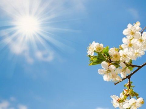 Sabah 17 dərəcə isti olacaq