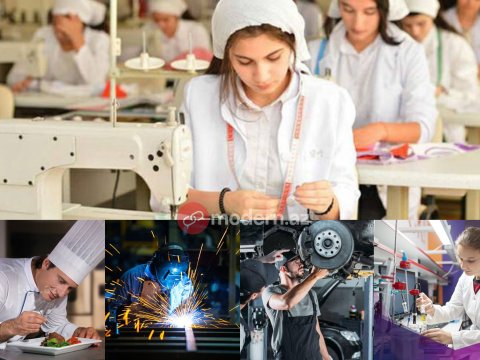 Why are entrepreneurs dissatisfied with vocational school graduates?