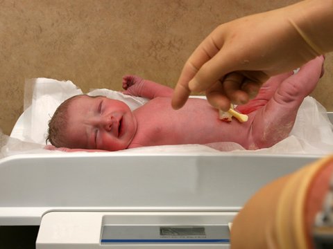 Azərbaycanda 1 445 azçəkili körpə doğulub