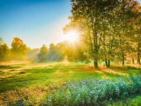 Şənbə günü hava belə olacaq&nbsp;