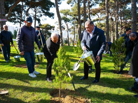 Xətaidə&nbsp;icra başçısı ilə deputat ağac əkdilər - FOTOLAR