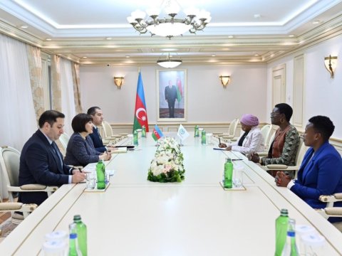 Spiker&nbsp;Tulia Akson ilə görüşüb