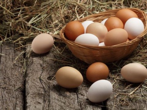 Azərbaycan yumurta ixracını dayandırdı