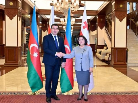 Sahibə Qafarova gürcüstanlı həmkarına başsağlığı verdi