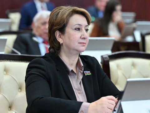 Qarayaxma kampaniyalarına qarşı ən sərt tədbirlər görülməlidir