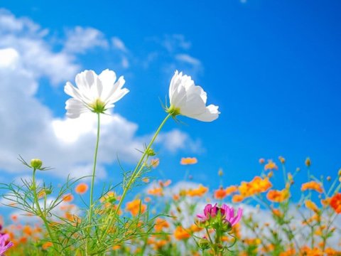 Sabah 15 dərəcə isti GÖZLƏNİLİR