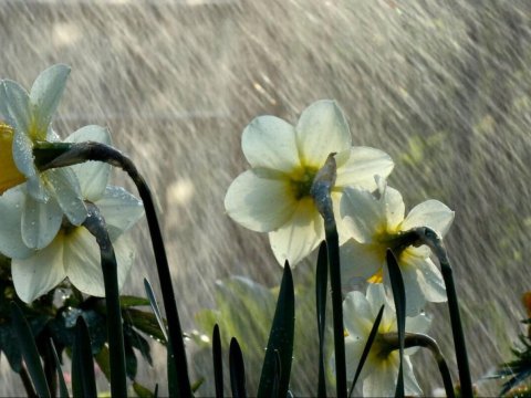 Bayram günü leysan olacaq, qar yağacaq, sel keçəcək -&nbsp;XƏBƏRDARLIQ