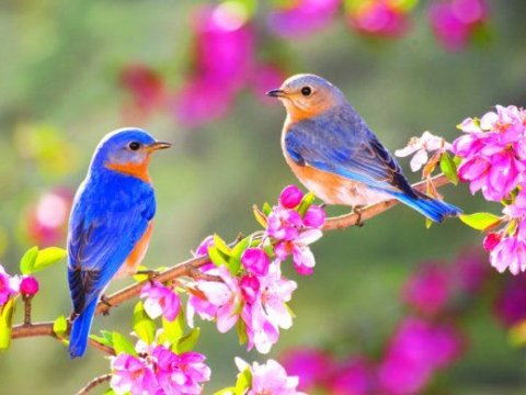 Yazın Azərbaycana daxilolma vaxtı AÇIQLANDI