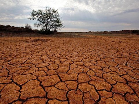 Yer kürəsində iqlim dəyişikliyi kritik həddə çatıb.