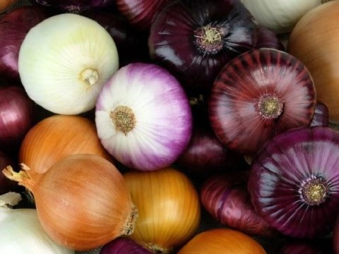 Bu ölkənin soğana tələbatını Azərbaycan ödəyir