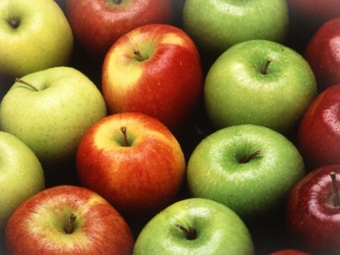 Xaricə 17 milyona&nbsp;alma satmışıq