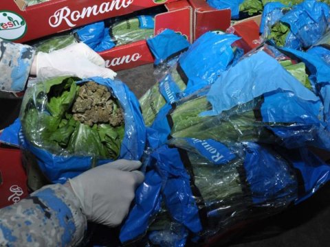 "Kahı" yükünün içərisində 56 kqmarixuana aşkarlandı