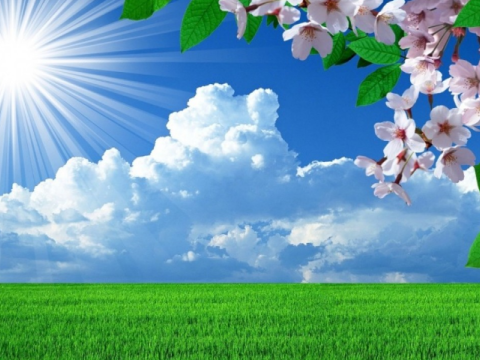 Sabah 25 dərəcə isti olacaq