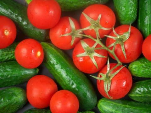 Hava şəraiti fermerləri çətin vəziyyətə salıb: Məhsul itkisi artır - VİDEO