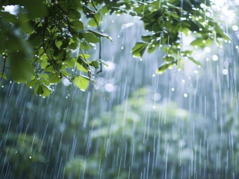 Aprelin ilk ongünlüyünün hava proqnozu - İntensiv yağış, dolu, qar...