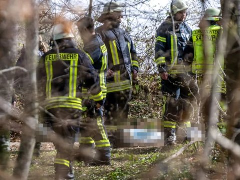 Ağac aşdı, üç nəfər öldü