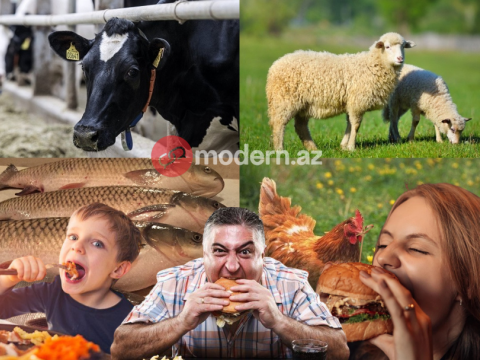 Hər azərbaycanlı ömrü boyu 4 inək, 35 qoyun yeyir - ARAŞDIRMA