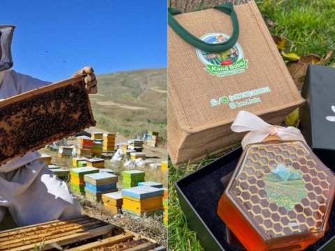 Özbəkistandan gətirilən arı ailələri təhlükəlidir - XƏBƏRDARLIQ&nbsp;