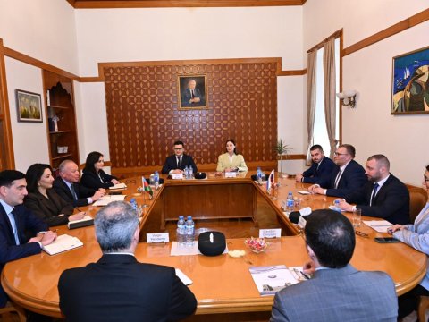 Slovakiya ombudsmanının&nbsp;başçılıq etdiyi nümayəndə heyəti ilə görüş keçirilib