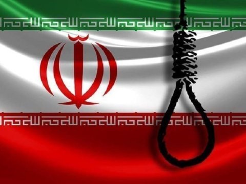 در این کشور روزانه 4 نفر اعدام می شوند