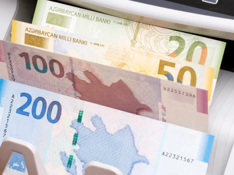 Milli Məclisdə aliment öhdəlikləri ilə bağlı müzakirə aparıldı