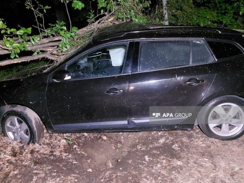 Lənkəranda avtomobil ağaca çırpılıb, ölən var