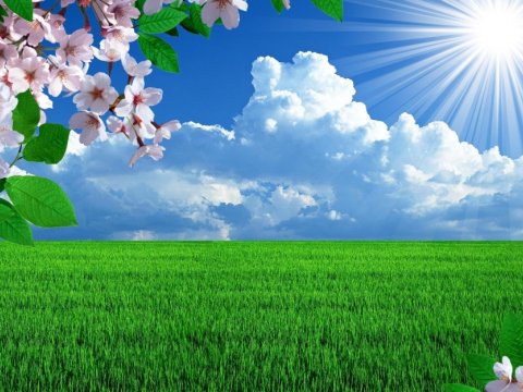 Yağışlı günlər geridə qalır, sabah 22 dərəcə isti gözlənilir