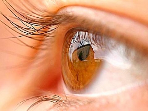 Azərbaycanda Göz Bankı açılacaq