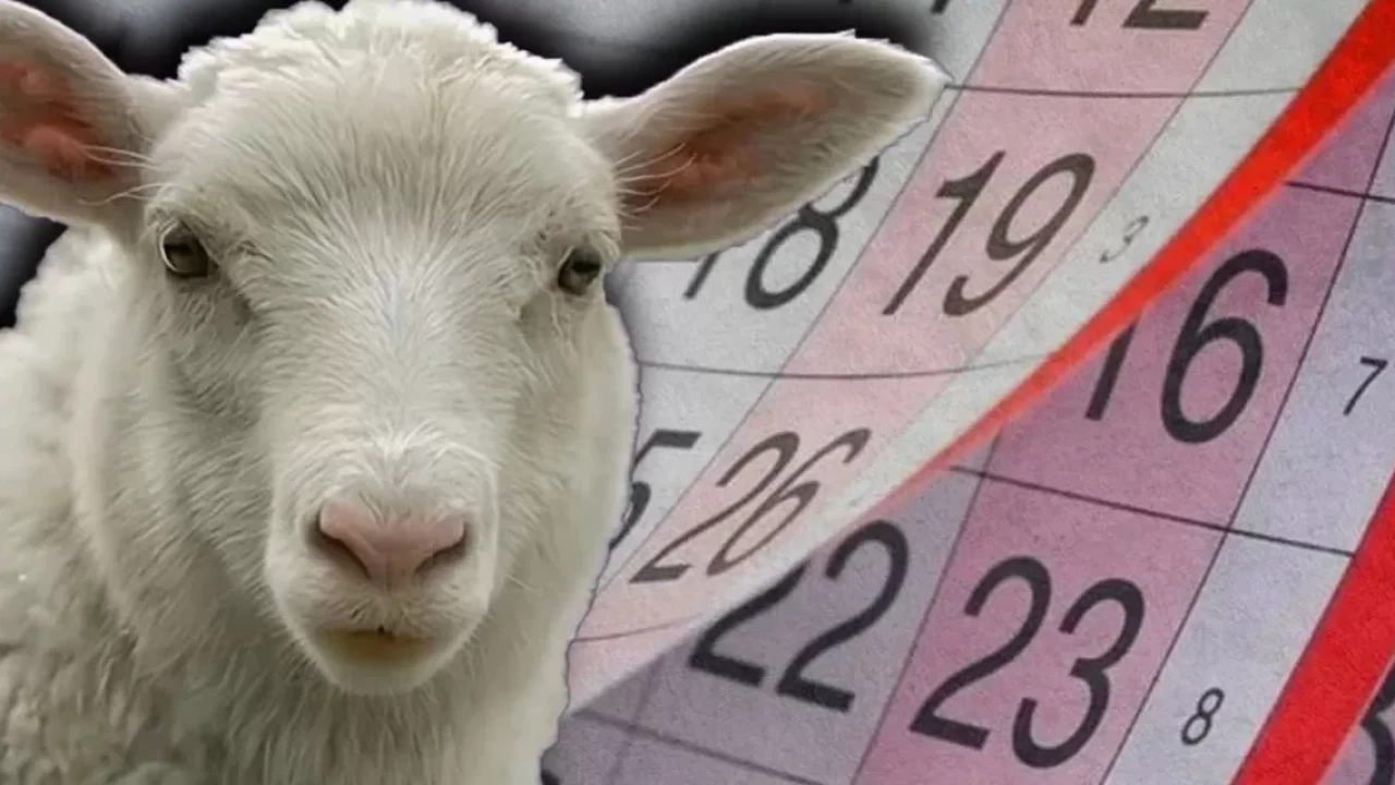 Qurban bayramında 5 gün iş olmayacaq