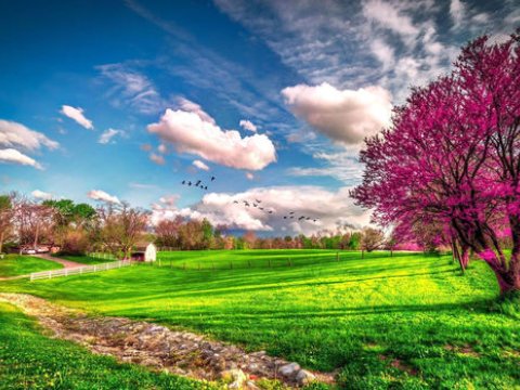 Bakıda temperatur 21 gün normadan yuxarı olub