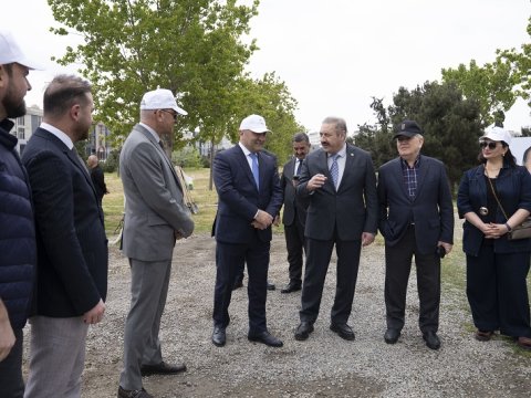 Bakı Sağlamlıq Mərkəzinin kollektivi ağacəkmə aksiyasında - FOTO