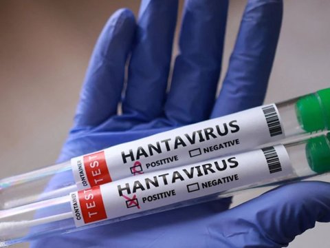 Yeni virus daha iki ölkədə yayıldı