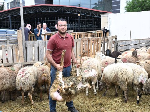 Bayramı öncəsi heyvan bazarında&nbsp;QİYMƏTLƏR