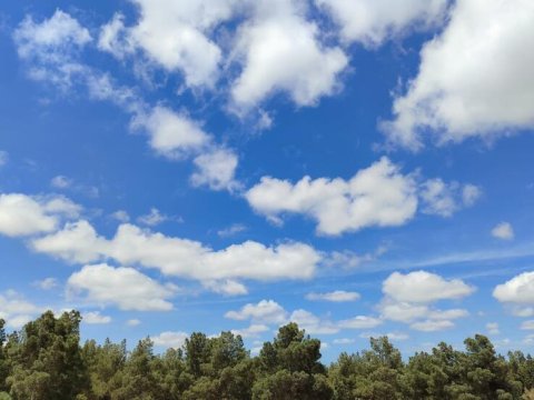 Sabahın havası: külək əsəcək