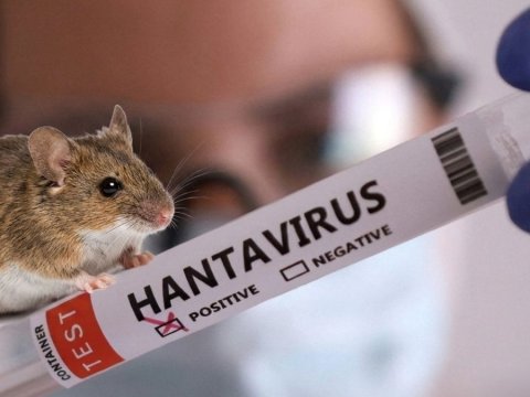 Hantavirusa görə&nbsp;41 nəfər müşahidə altındadır