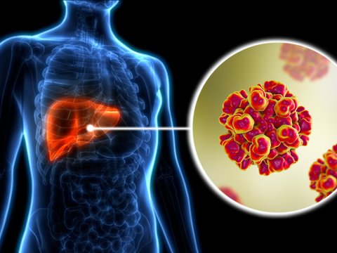 Bu ölkədə hepatit E virusuna yoluxma qeydə alındı