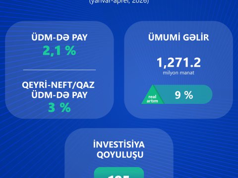 İKT sektorunun gəlirlərində informasiya xidmətlərinin payı artır