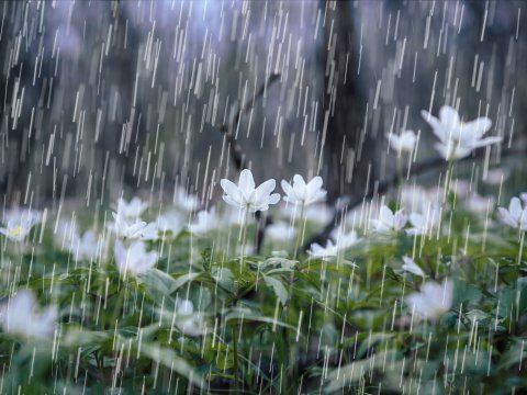 Hava ilə bağlı XƏBƏRDARLIQ EDİLDİ